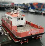 Catamaran te koop