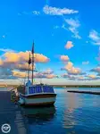 Cruise schip Te koop