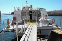 Hydrofoil te koop
