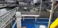 Catamaran te koop