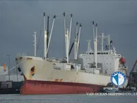 Koelschip te koop