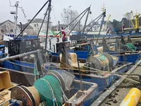 Levend vis transport schip te koop