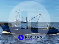 Levende visdrager Te koop