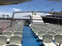 Catamaran te koop