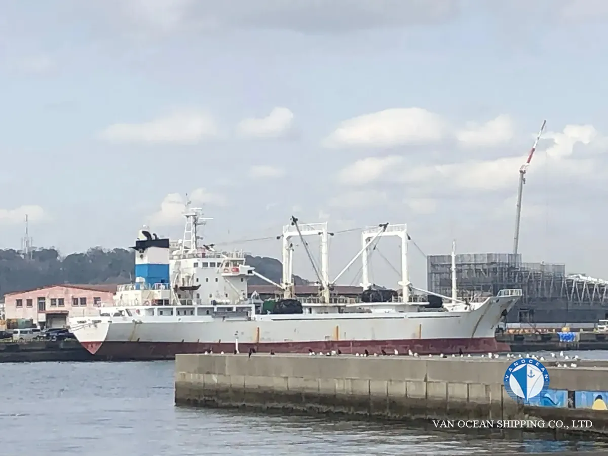 Koelschip te koop
