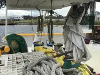 Trawler te koop