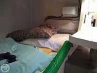 Kutter te koop
