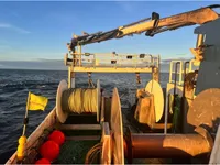 Veerboot te koop