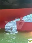 Bulkcarrier te koop