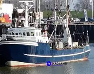 Beurtvisser te koop