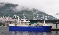Purse seiner Te koop