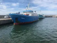 Koelschip Te koop
