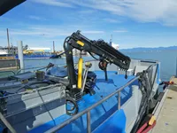 Veerboot te koop