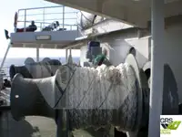 Ro-Ro-schip te koop