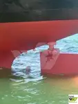 Bulkcarrier te koop