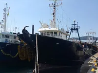 Trawler te koop