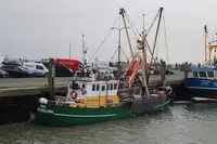 Trawler te koop