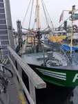 Trawler te koop