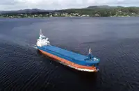 Bulkcarrier te koop