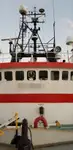 Koelschip te koop