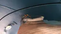 Sleperschip te koop