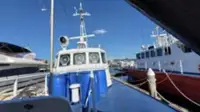 Patrouilleboot te koop