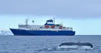 RoPax-schip te koop