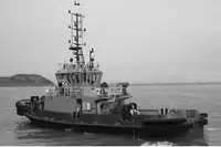 Sleepboot Te koop