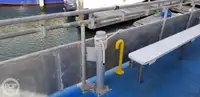 Catamaran te koop