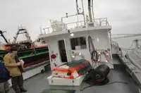 Lootsboot te koop