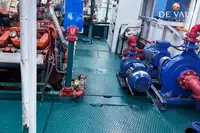 Veerboot te koop