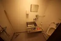 Bulkcarrier te koop