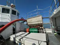 Baggeraarschip te koop