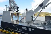 Containerschip te koop