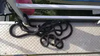 Containerschip te koop