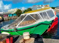 Veerboot Te koop