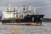 Bulkcarrier te koop