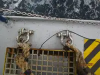 Koelschip te koop