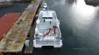 Catamaran Te koop
