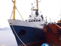 Trawler te koop