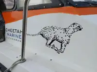 Catamaran te koop