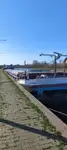 Bulkcarrier te koop