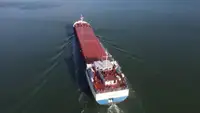 Bulkcarrier te koop