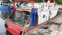 Levend vis transport schip te koop