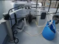 Catamaran te koop