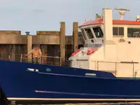 Werkboten te koop