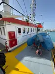 Containerschip te koop