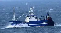 Trawler te koop