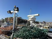 Trawler te koop