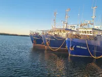 Trawler te koop